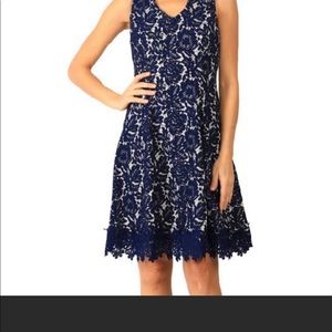 Like new Beautiful navy/cream lace dress